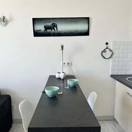 Apartment Grand Palais - Beautiful Floor - Sea Front With Ac Vallauris